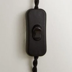 Pride & Joy Plug In Wall Light