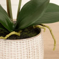 Artificial Pink Phalaenopsis Orchid In Textured Ceramic Plant Pot -EGLO Shop 30913544 alt02