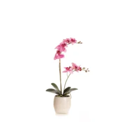 Artificial Pink Phalaenopsis Orchid In Textured Ceramic Plant Pot -EGLO Shop 30913544 alt03