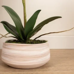 Artificial White Speckled Orchid In Beige Ceramic Plant Pot -EGLO Shop 30913548 alt02