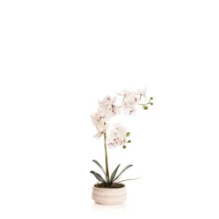 Artificial White Speckled Orchid In Beige Ceramic Plant Pot -EGLO Shop 30913548 alt03