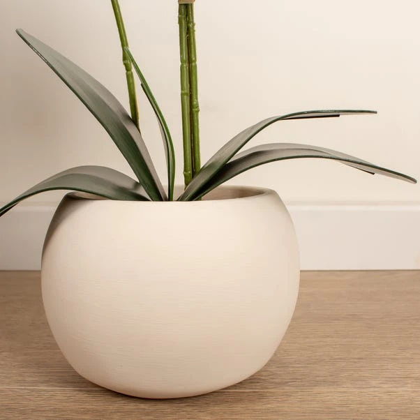 Artificial White Phalaenopsis Orchid In Beige Ceramic Plant Pot 3 Artificial White Phalaenopsis Orchid In Beige Ceramic Plant Pot - Image 3