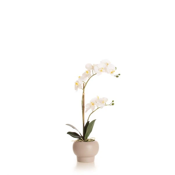 Artificial White Phalaenopsis Orchid In Beige Ceramic Plant Pot 4 Artificial White Phalaenopsis Orchid In Beige Ceramic Plant Pot - Image 4