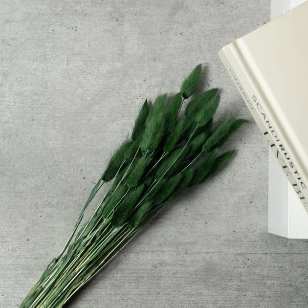 Dried Bunny Tails Bouquet 16 Dried Bunny Tails Bouquet - Image 16