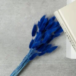 Dried Bunny Tails Bouquet 29 Dried Bunny Tails Bouquet -EGLO Shop 30913572 alt01