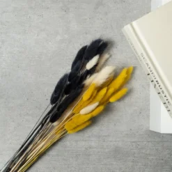 Dried Bunny Tails Bouquet 27 Dried Bunny Tails Bouquet -EGLO Shop 30913574 alt01