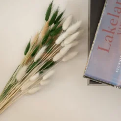 Dried Bunny Tails Bouquet 25 Dried Bunny Tails Bouquet -EGLO Shop 30913575 alt01