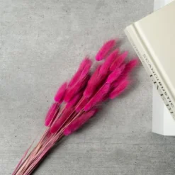 Dried Bunny Tails Bouquet 19 Dried Bunny Tails Bouquet -EGLO Shop 30913747 alt01