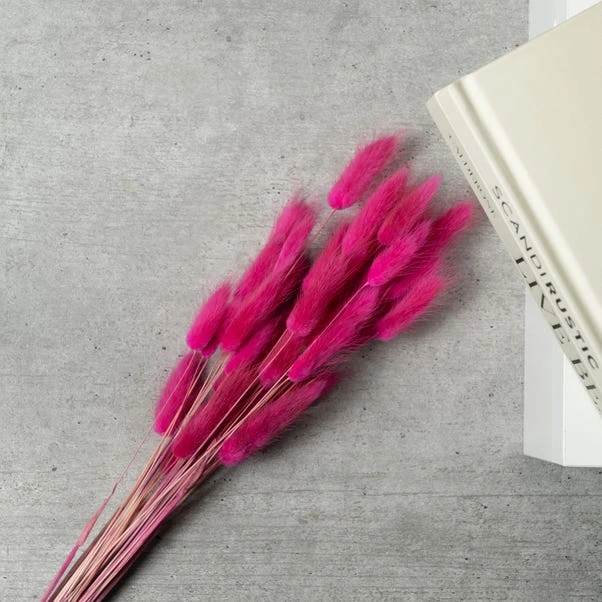 Dried Bunny Tails Bouquet 4 Dried Bunny Tails Bouquet - Image 4