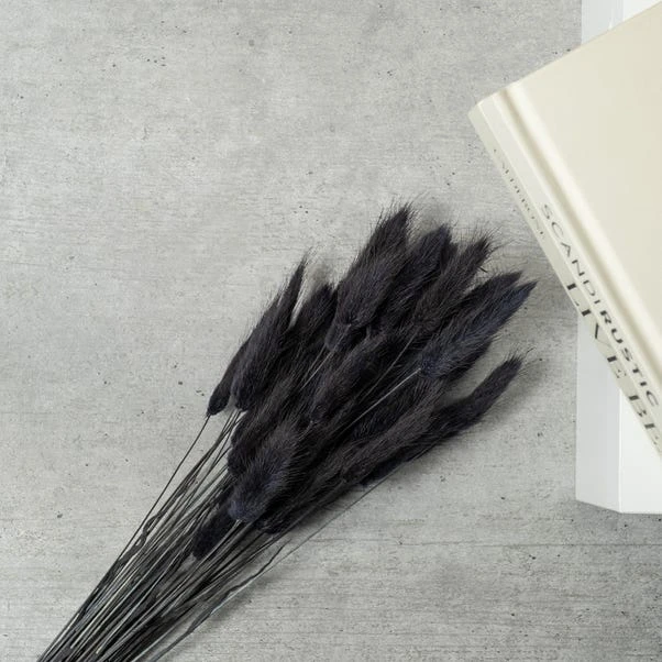 Dried Bunny Tails Bouquet 2 Dried Bunny Tails Bouquet - Image 2