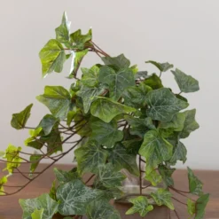 Artificial Ivy Trailing Plant -EGLO Shop 30918294 alt02