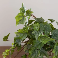 Artificial Ivy Trailing Plant -EGLO Shop 30918294 alt03