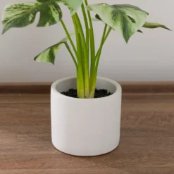 Artificial Cheese Plant In White Cement Plant Pot -EGLO Shop 30918336 alt03