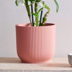 Dendrobium Bamboo Orchid House Plant In Vibes Pot -EGLO Shop 30920699 alt02