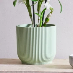 Dendrobium Bamboo Orchid House Plant In Vibes Pot -EGLO Shop 30920702 alt02