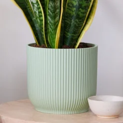 Snake House Plant In Elho Pot -EGLO Shop 30920756 alt02