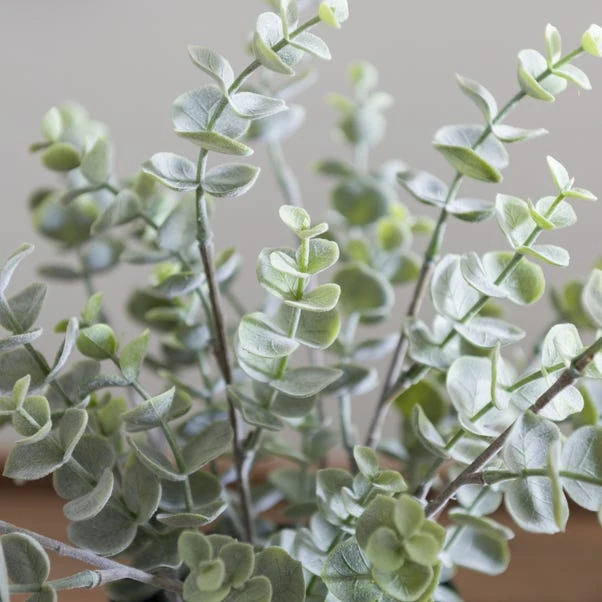 Artificial Eucalyptus Plant In Black Plant Pot 2 Artificial Eucalyptus Plant In Black Plant Pot - Image 2