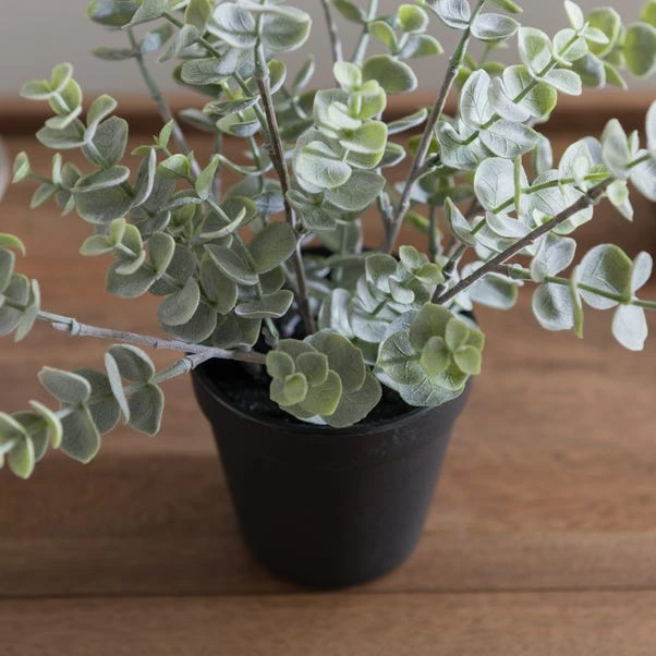 Artificial Eucalyptus Plant In Black Plant Pot 3 Artificial Eucalyptus Plant In Black Plant Pot - Image 3