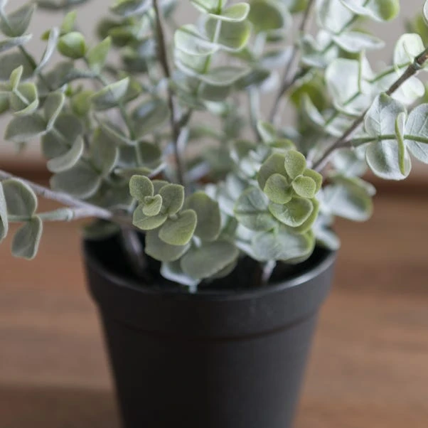 Artificial Eucalyptus Plant In Black Plant Pot 4 Artificial Eucalyptus Plant In Black Plant Pot - Image 4