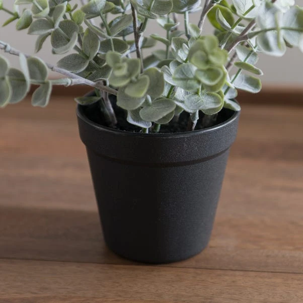 Artificial Eucalyptus Plant In Black Plant Pot 5 Artificial Eucalyptus Plant In Black Plant Pot - Image 5