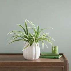 Artificial Variegated Yucca Plant In Ceramic Plant Pot