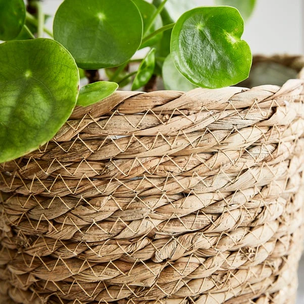 Set Of 3 Woven Plant Pots 2 Set Of 3 Woven Plant Pots - Image 2