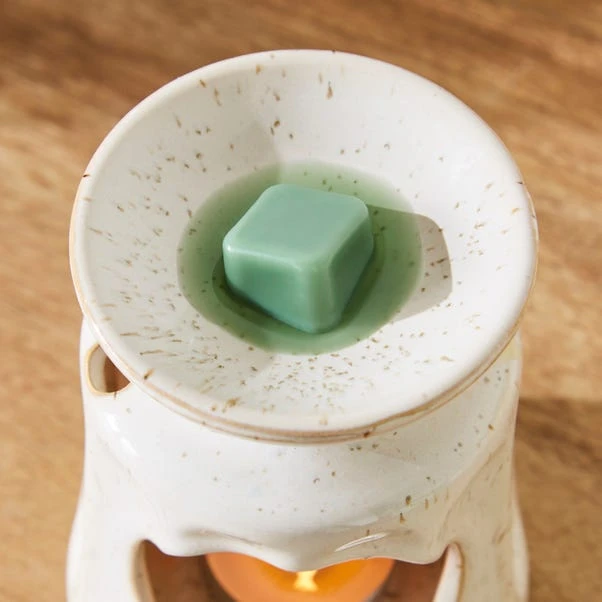 Set Of 6 Pistachio & Coconut Wax Melts 2 Set Of 6 Pistachio & Coconut Wax Melts - Image 2