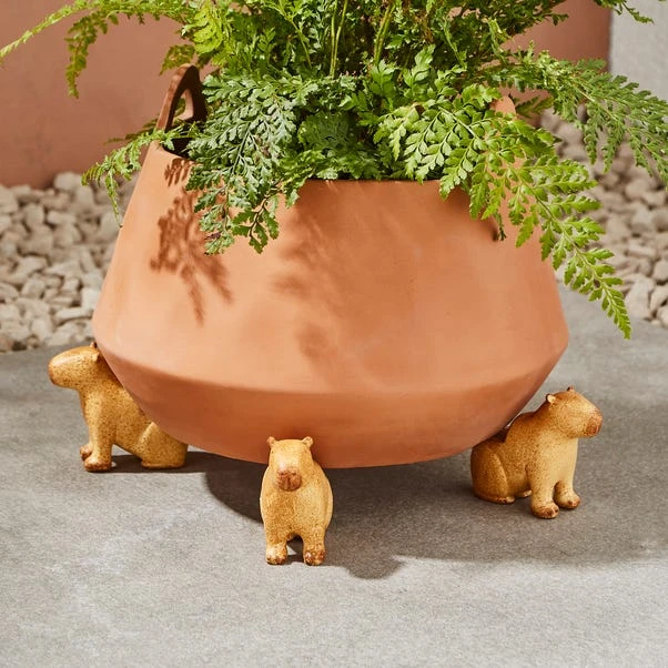Set Of 3 Resin Capybara Pot Feet 1 Set Of 3 Resin Capybara Pot Feet