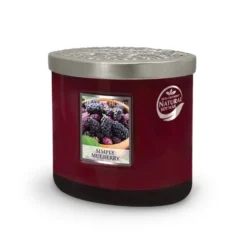 Heart And Home Ellipse Simply Mulberry Multi Wick Candle -EGLO Shop 30933013 alt02