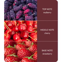 Heart And Home Ellipse Simply Mulberry Multi Wick Candle -EGLO Shop 30933013 alt03