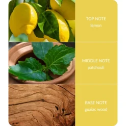 Heart And Home Bamboo Patchouli & Guaiac Wood Jar Candle -EGLO Shop 30933034 alt03