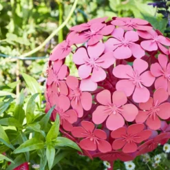 Sophie Robinson Giant Allium Garden Stake 16 Sophie Robinson Giant Allium Garden Stake -EGLO Shop 30933369 alt01