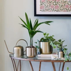 Kew Matt Brass Plant Mister 9 Kew Matt Brass Plant Mister -EGLO Shop 30937030 alt02