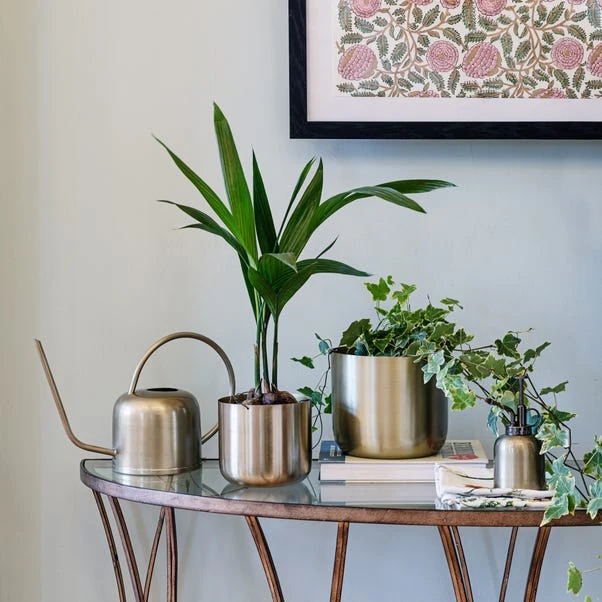 Kew Matt Brass Plant Mister 3 Kew Matt Brass Plant Mister - Image 3