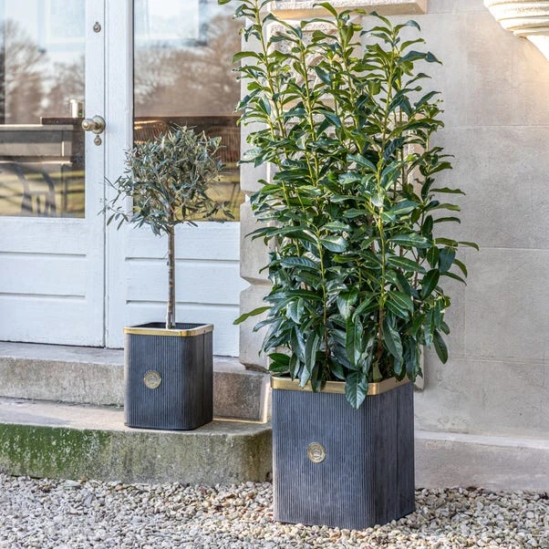 Set Of 2 Kew Outdoor Indoor Antique Lead Richmond Plant Pots 1 Set Of 2 Kew Outdoor Indoor Antique Lead Richmond Plant Pots