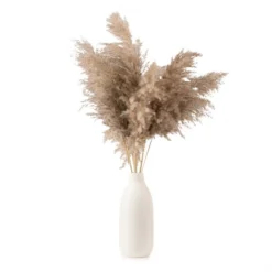 Pampas Grass In Ribbed Ceramic Vase 5 Pampas Grass In Ribbed Ceramic Vase -EGLO Shop 30938870 alt02