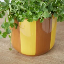 Elements Striped Ceramic Plant Pot 13 Elements Striped Ceramic Plant Pot -EGLO Shop 30943035 alt01