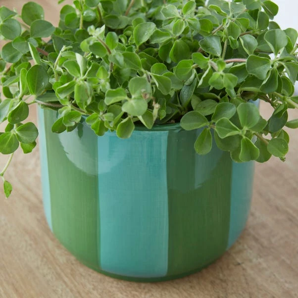 Elements Striped Ceramic Plant Pot 2 Elements Striped Ceramic Plant Pot - Image 2