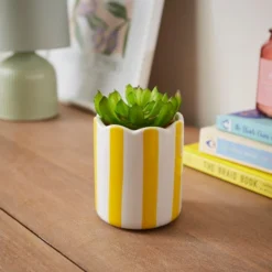 Artificial Succulent In Striped Ceramic Plant Pot