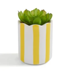 Artificial Succulent In Striped Ceramic Plant Pot -EGLO Shop 30944992 alt02