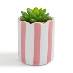 Artificial Succulent In Striped Ceramic Plant Pot -EGLO Shop 30945001 alt02