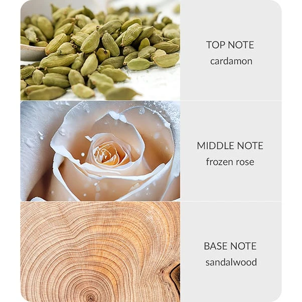 Heart And Home Bamboo Frozen Woodland Walk Diffuser 2 Heart And Home Bamboo Frozen Woodland Walk Diffuser - Image 2