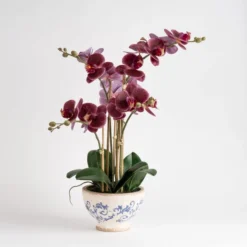 Artificial Real Touch Dark Pink Phalaenopsis Orchid In Ceramic Plant Pot 9 Artificial Real Touch Dark Pink Phalaenopsis Orchid In Ceramic Plant Pot -EGLO Shop 30958135 alt04