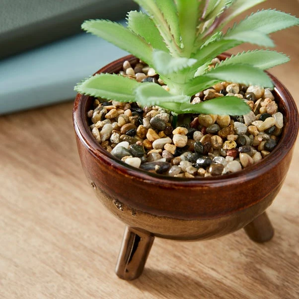 Artificial Succulents In Brown Glazed Footed Plant Pot 2 Artificial Succulents In Brown Glazed Footed Plant Pot - Image 2