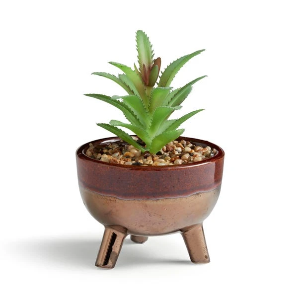 Artificial Succulents In Brown Glazed Footed Plant Pot 3 Artificial Succulents In Brown Glazed Footed Plant Pot - Image 3
