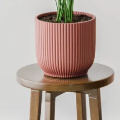 Kentia Palm House Plant In Elho Pot -EGLO Shop 30963512 alt02