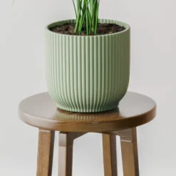 Kentia Palm House Plant In Elho Pot -EGLO Shop 30963514 alt02