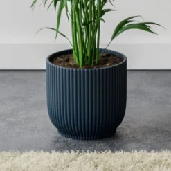 Kentia Palm House Plant In Elho Pot -EGLO Shop 30963521 alt02