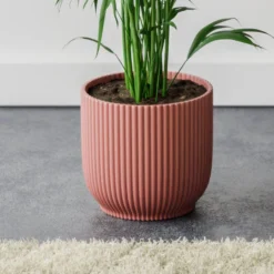 Kentia Palm House Plant In Elho Pot -EGLO Shop 30963522 alt02