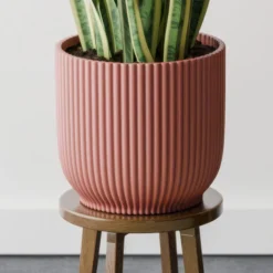 Snake House Plant In Elho Pot -EGLO Shop 30963562 alt02